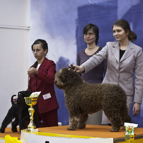 Víťazka juniorhandlingu na Wintershow 2012