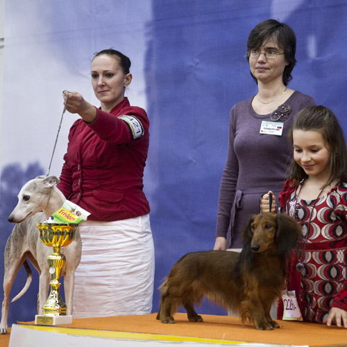 Najlepší veteráni na Wintershow, Trenčín 2012